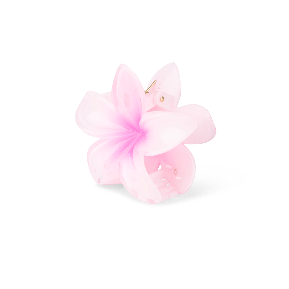 Sui Ava Plumeria Hawaii Big pink