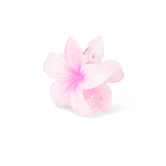 Sui Ava Plumeria Hawaii Big pink